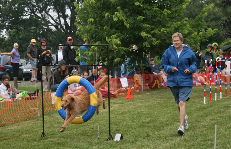 Kingston 3 Nathalie Prezeau