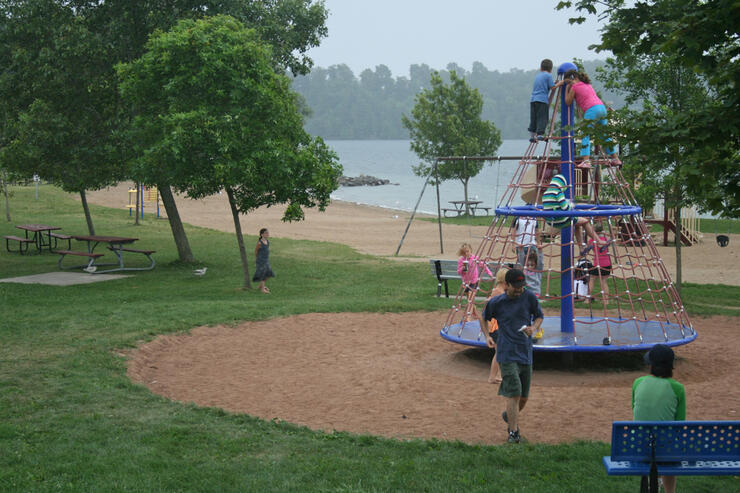 Kingston 5 Sheep Dog Trials Nathalie Prezeau