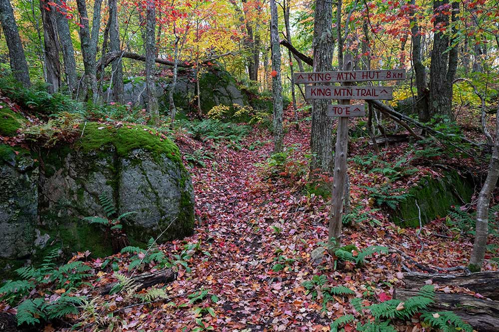 cfield-ahc-hikingtrail