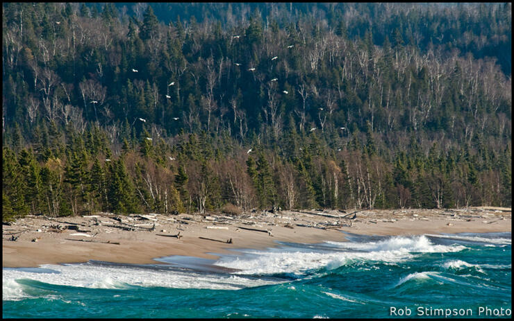 november-gales-superior-stimpson3