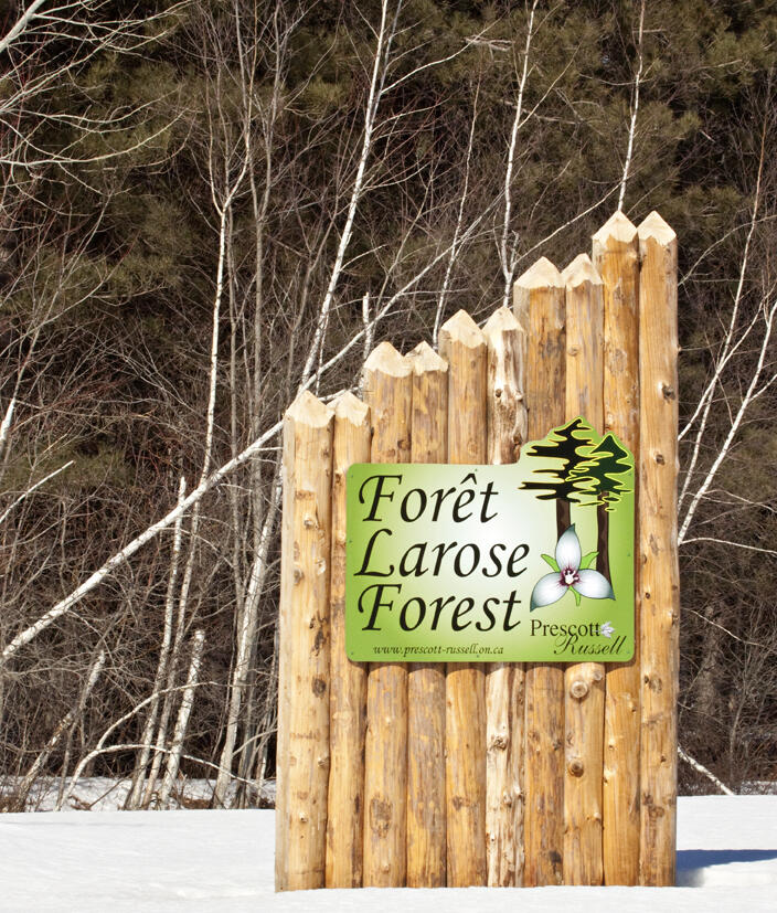 Foret Larose TPRT RED