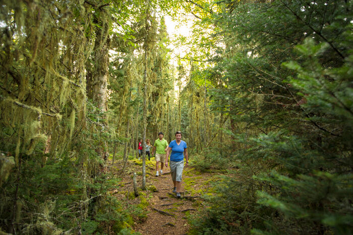 Hiking-on-Thomson-Island