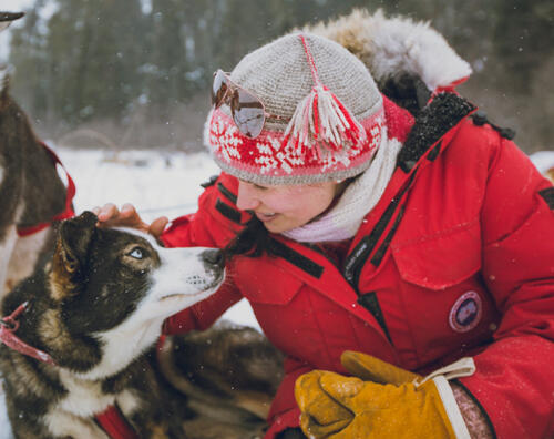 Friendly-dogs