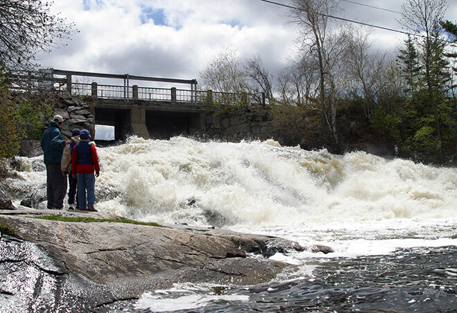 The Falls at Nestor Falls, Ontario